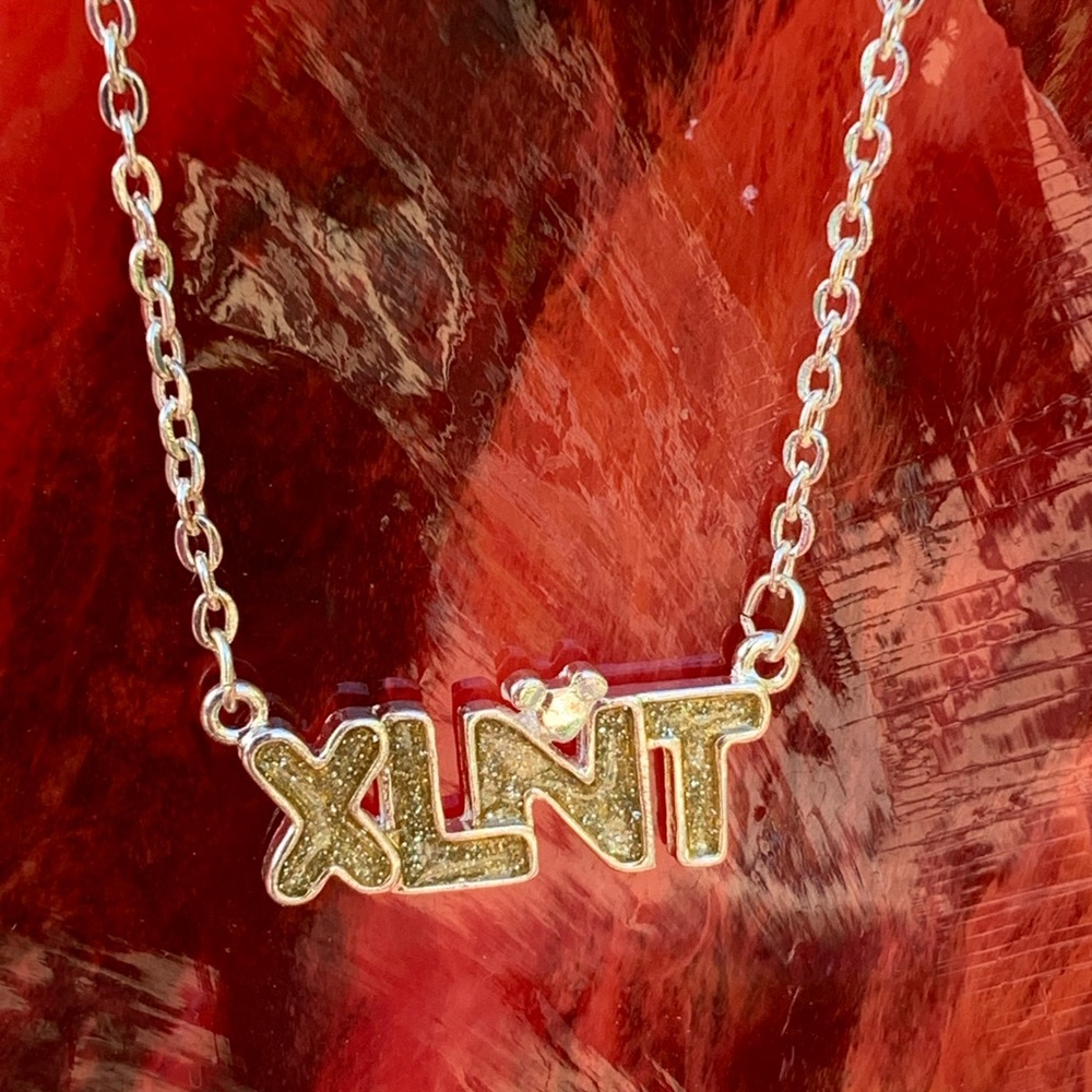 Disney Parks Silver Toned Necklace w/ Tiny Mickey Ears between the Letters XLNT